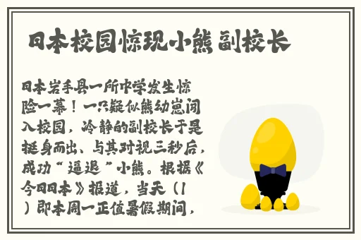 魅影打扑克怎么看安装